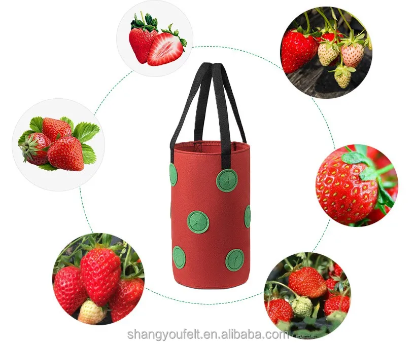 
Strawberry Planter Bags For Growing Potatoes Outdoor Vertical Garden Hanging Open Vegetable Planting Grow Bag 