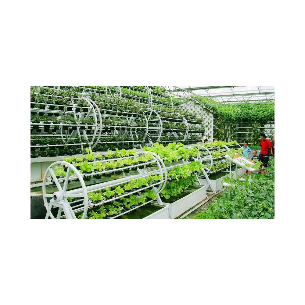 New Listing Saving-water Hydroponics Vegetables  PVC Greenhouse Seed Cultivation Pvc Hydroponic Gutter Supplier