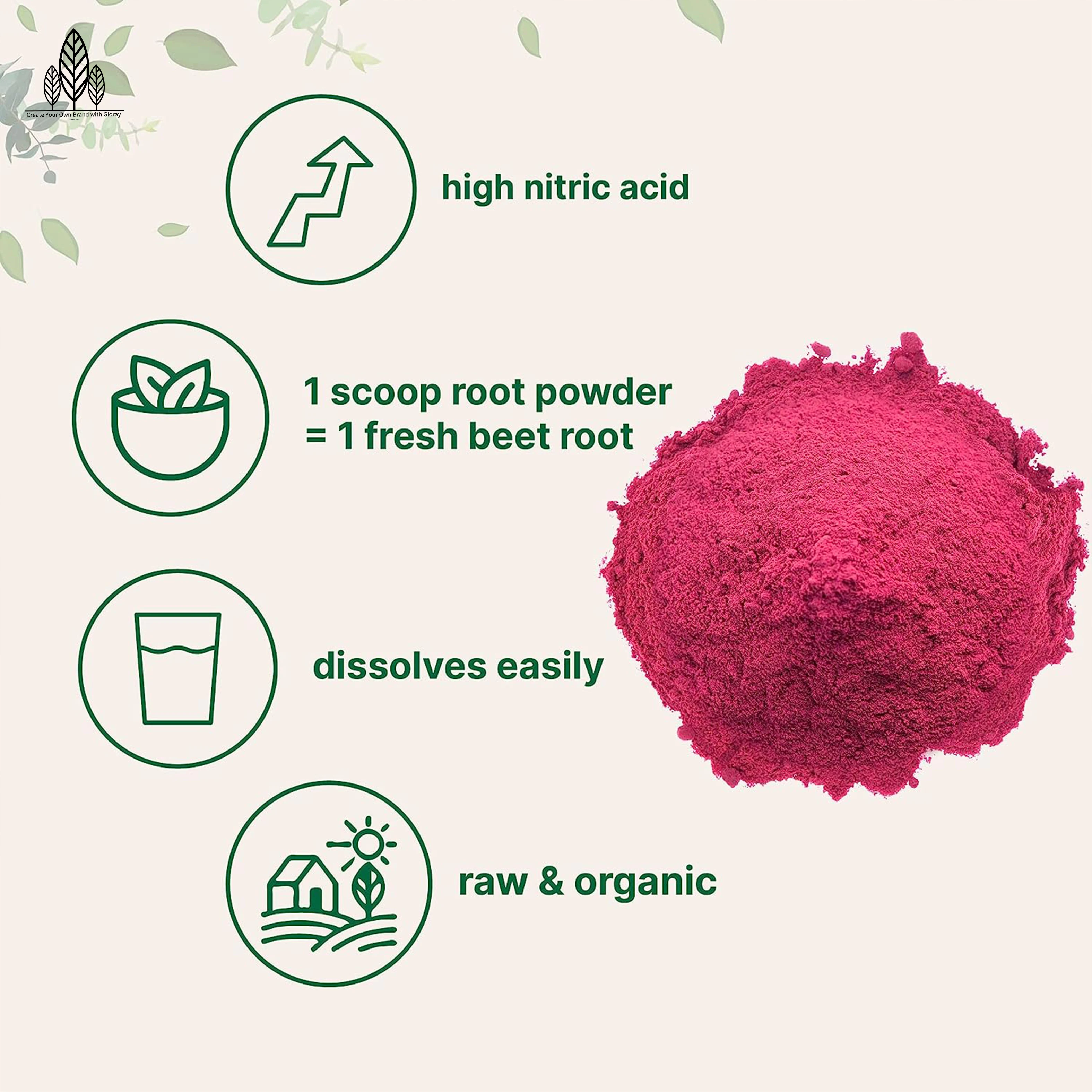 Powder Beets Superfood Powder with Nitrates to Support Circulation Blood Flow Nitric Oxide Energy Endurance and Heart Health