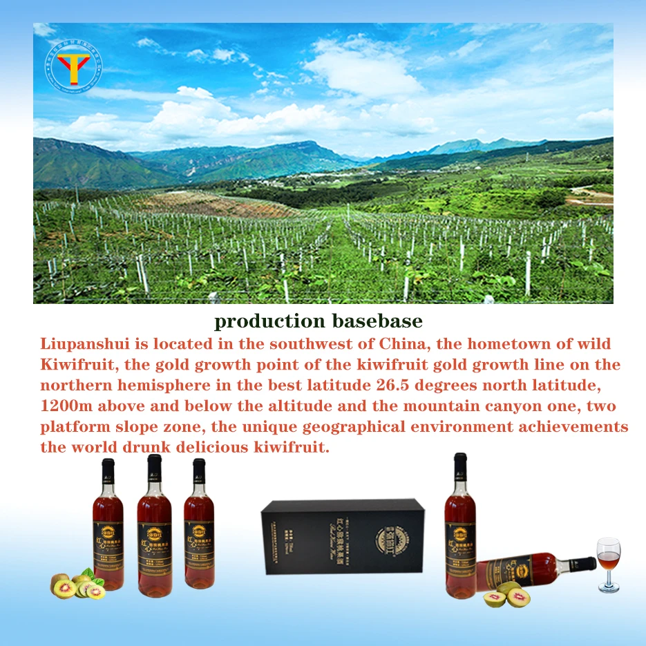 
rich in vitamin C red kiwi fruit wine low alcohol fruit wine pure fermentation tipsy wine Hand gift box taste mellow 