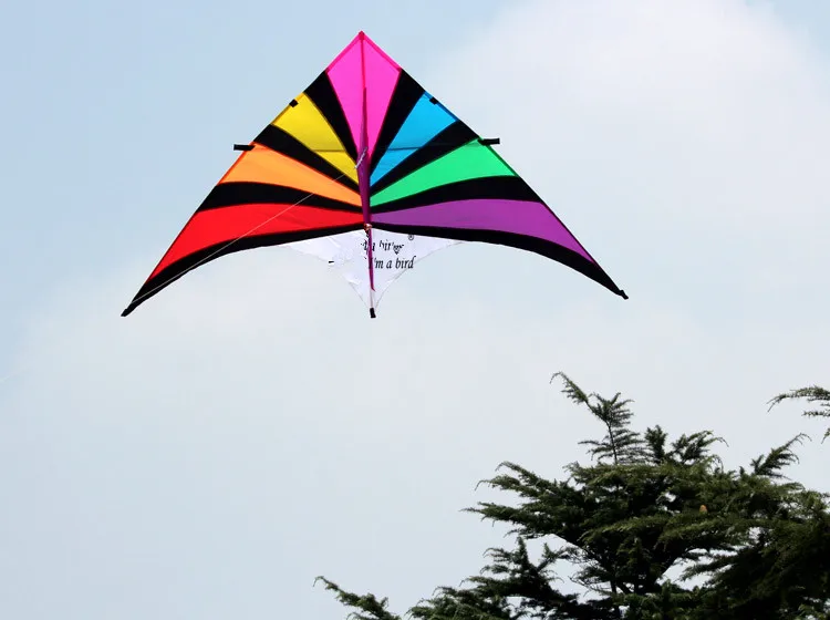 China outdoor sport 2.8m large delta kite
