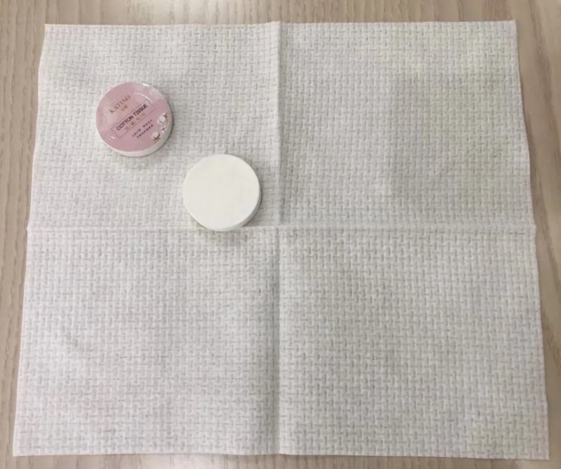 Thickness 24*30cm Compressed Towels Portable Disposable Mini Compressed Coin Tissue Toilet Paper Compressed Towel, Napkin Tissue
