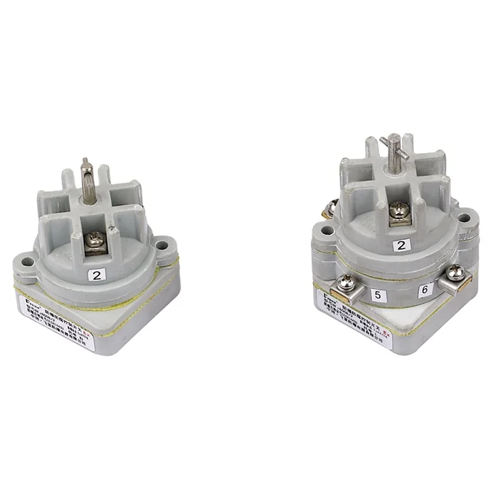 8008-2-Series explosion-proof control switch