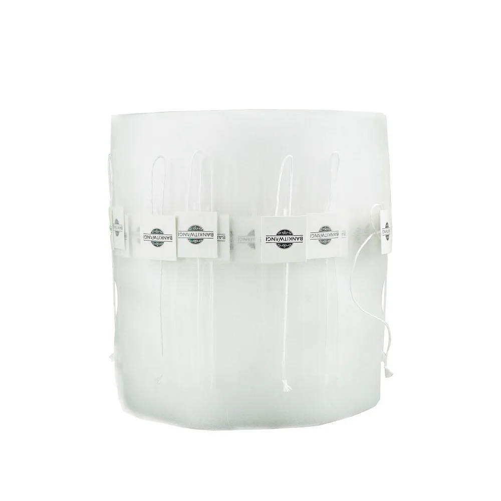 Industrial Eco-friendly Degradable PLA Mesh Bag Pyramid Drip Teabag Filter Paper Roll