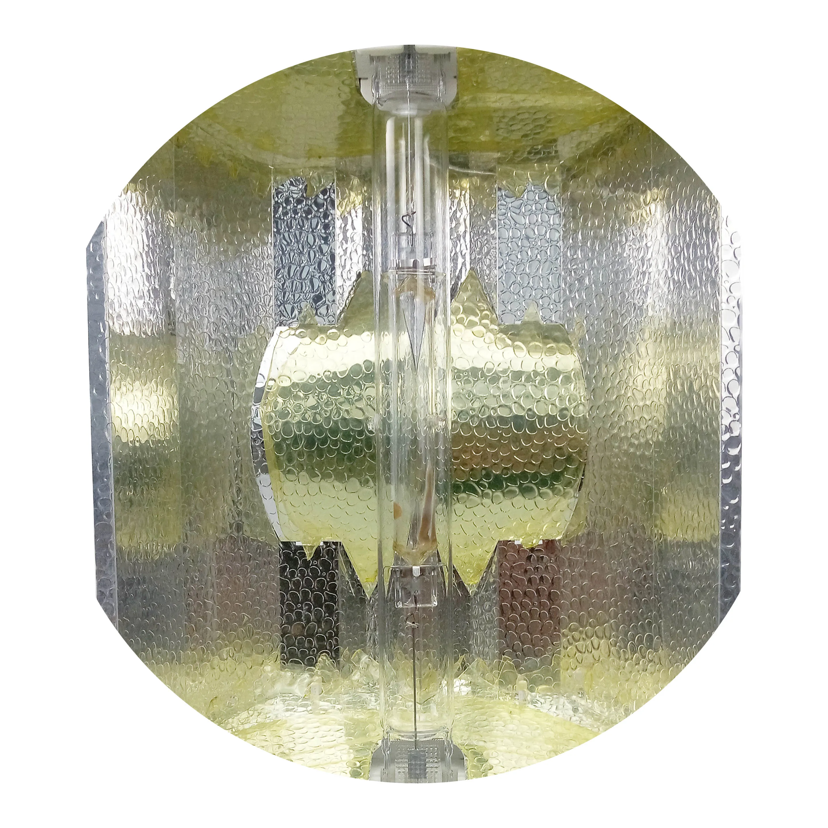 SOLIDEE  LX- 630 CMH LEC CDM grow light fixture for garden greenhouse Metal halide lamp electronic ballast