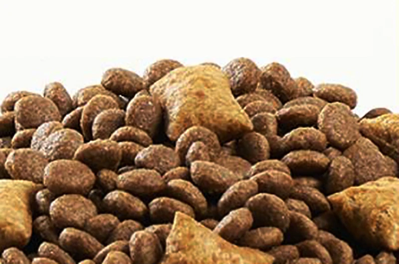 Оптовая продажа на заказ вкусный высококачественный сухой корм для кошек без зерна с низким содержанием жира и высоким белка Различные