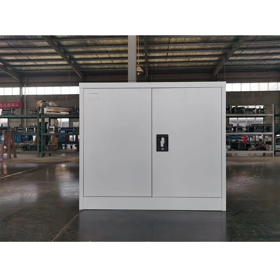 CAS-008 Cheap metal office furniture 2 door office steel filing cabinet with small package