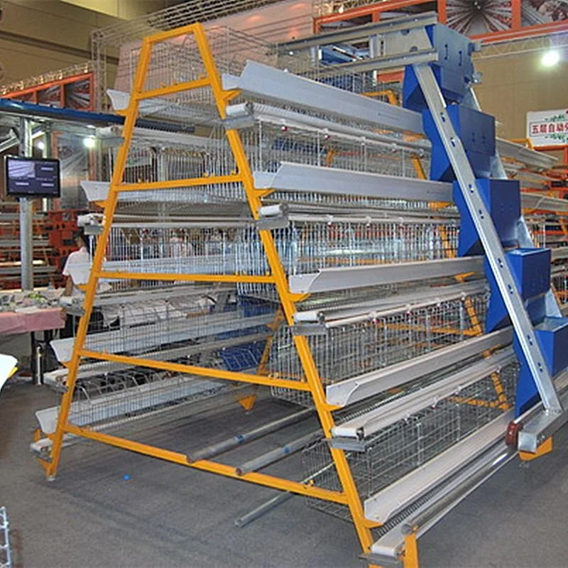 Automatic chicken feeding machine for poultry chicken house