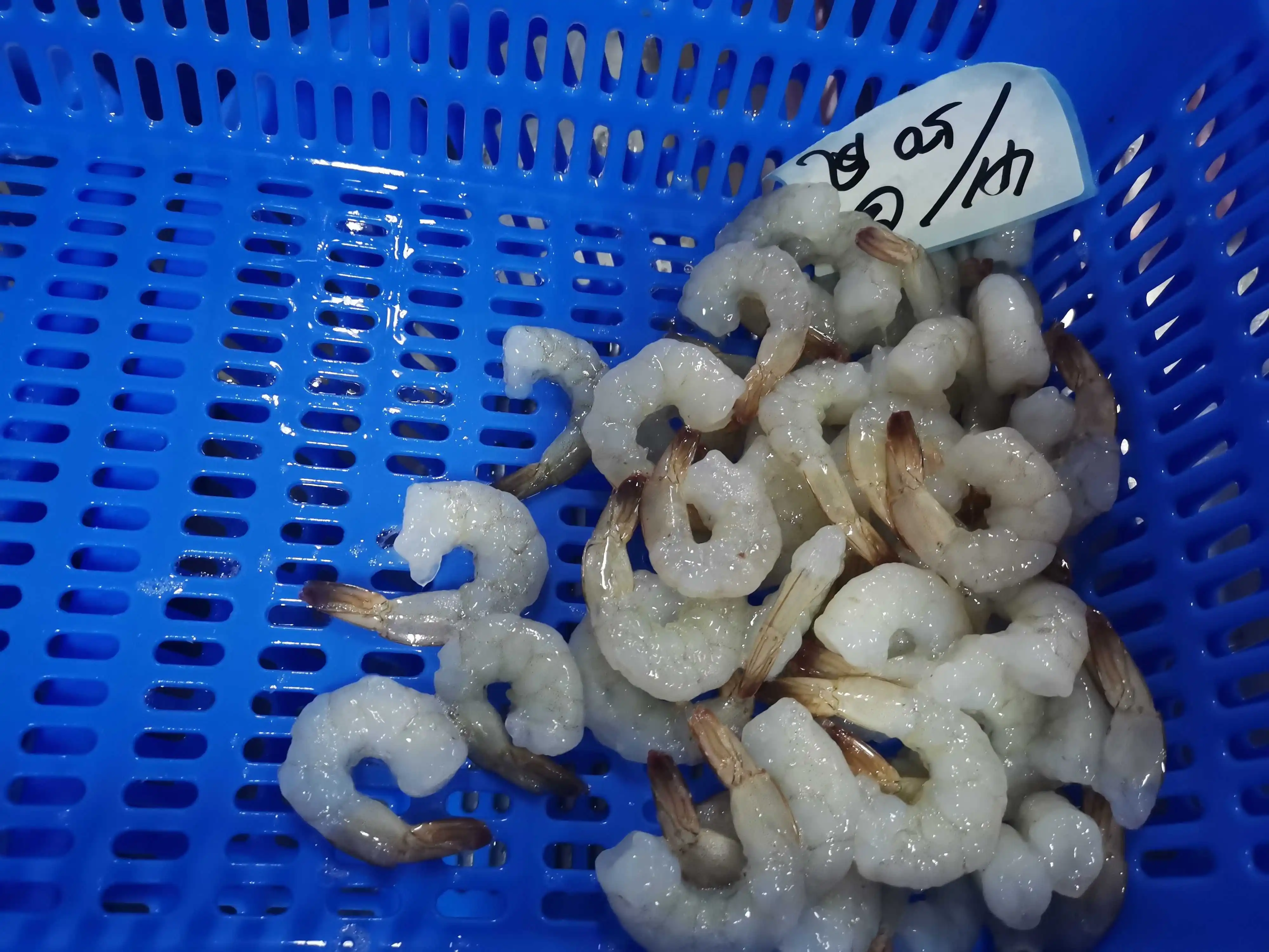 Wholesale Price Frozen Vannamei Shrimp White Prawns Meat PDTO Vannamei Shrimp Meat for Sale