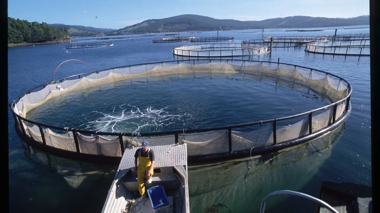 Китай высокое качество hdpe трубы и фитинги HDPE кронштейн Pontoon рыбья сетка клетка плавающая Тилапия рыбоводная
