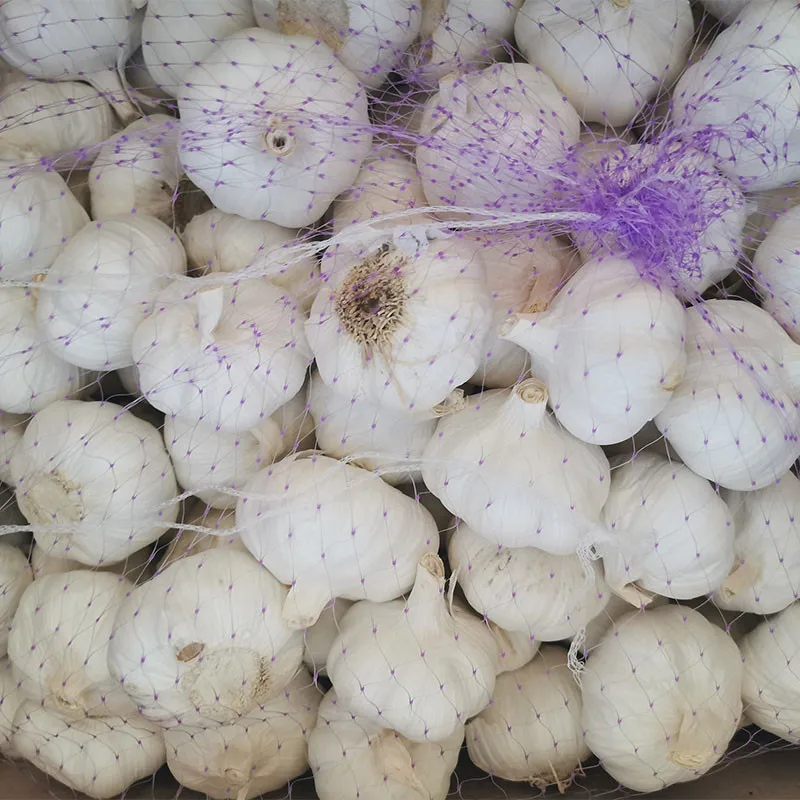 2020 New Crop High Quality China Chinese Best Wholesale White Fresh Garlic for Sale