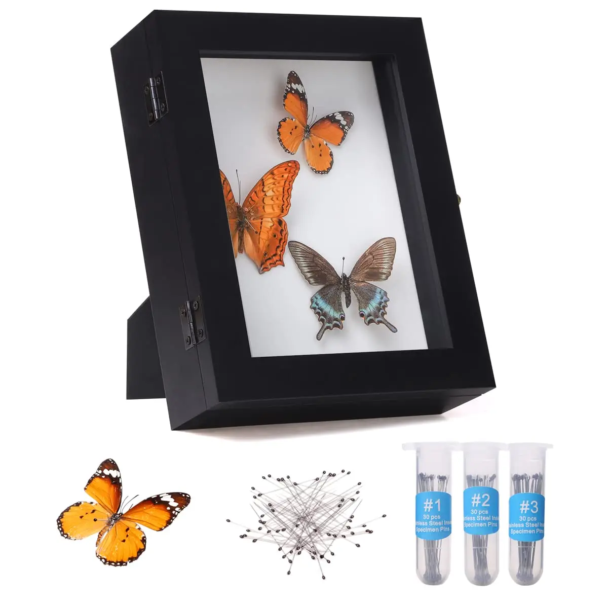 EVA Foam Board Glass Top Acrylic Clear Top Pine Wooden Insect Display Case Bug Small Glass Specimen Entomological Display Boxes