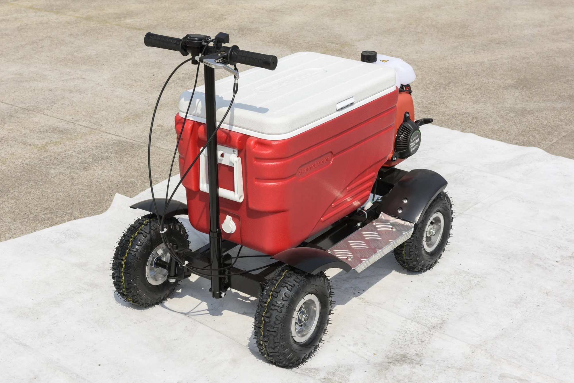 High Efficient Food Keeper Outdoor Camping Using Disk Brake Electric Motorized Cooler Scooter