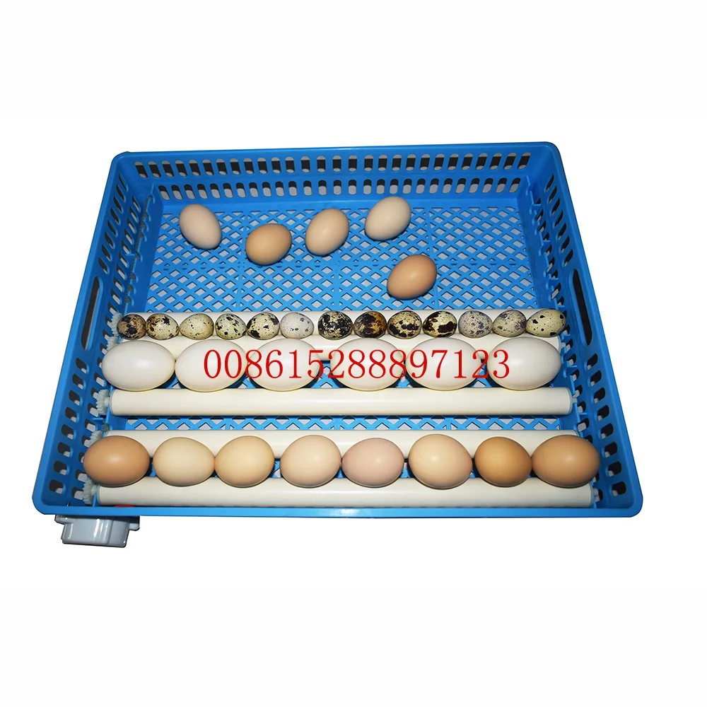 incubator 500 eggs hatching machine solar energy egg incubator incubator eggs 360