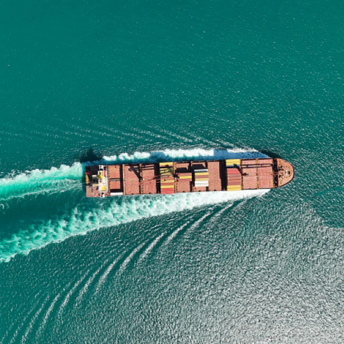 Reliable and Professional International Cargo Transportation Shipping container from China to Montpellier France by sea