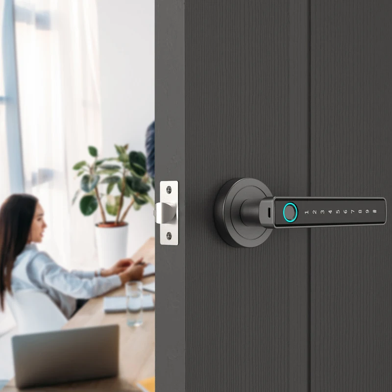 Amazon Hot Selling Aluminum Alloy Smart Door Lock Smart Door Handle Electronic Fingerprint Lock with APP