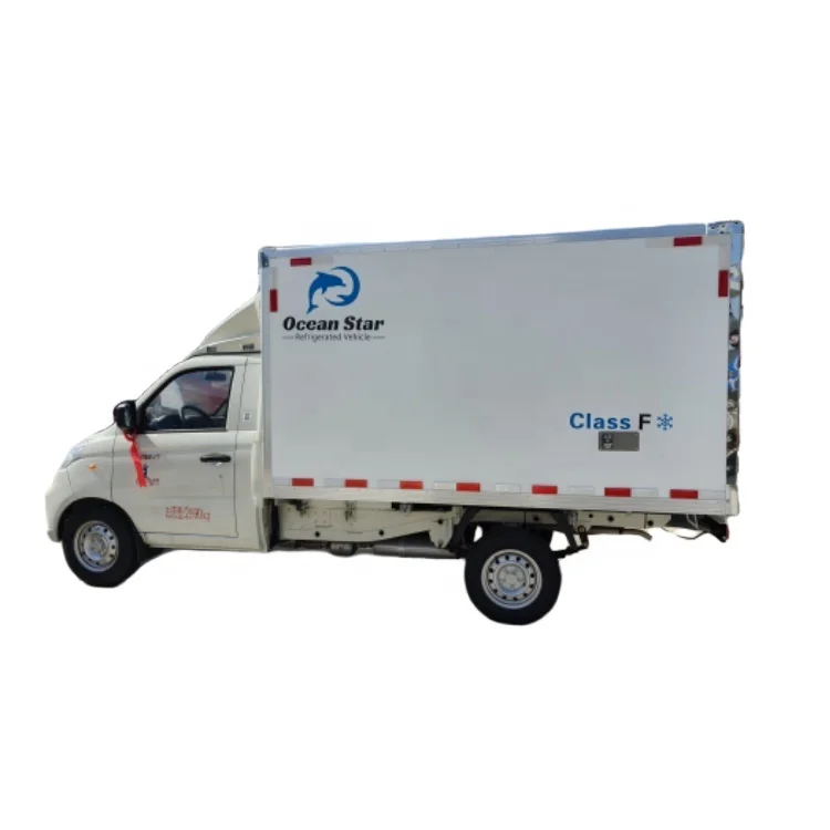 Mini Refrigerated Vehicle Refrigerator Truck Freezer Cargo Van Truck for Fresh Food and Meat Transportation