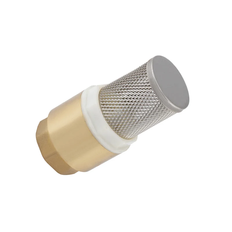
1/2 Ss Net Pvc Inside Bsp Thread Brass Check Valve In Yuhuan Zhejiang China WHOLESALE 
