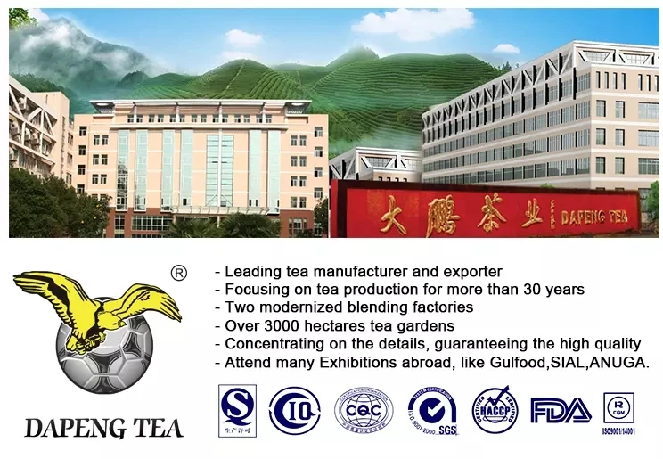 THE VERT DE CHINE MAROC 41022 4011 Chinese green tea