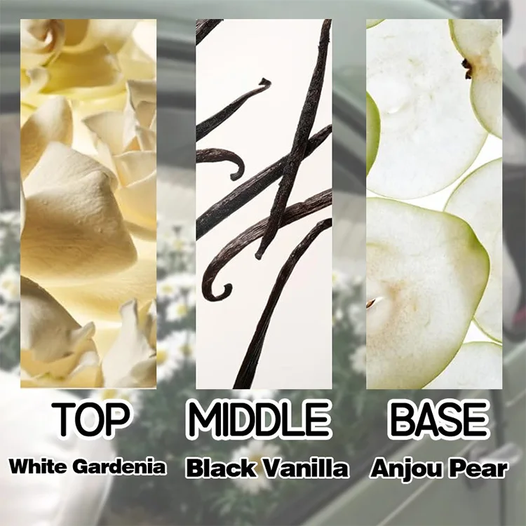 2024 New Black Swan Perfume charm seduces ladies light fragrance temperament dating Middle East perfume wholesale