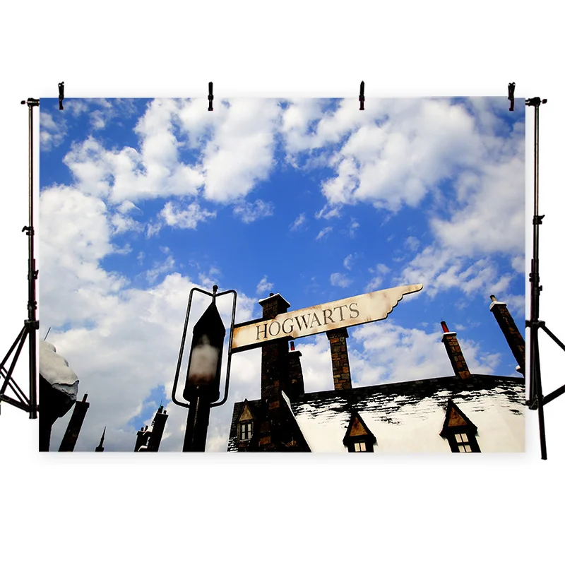 Drop Shipping Photography 3D Scenery Backdrop Cloth Print Women Party Decor Photo Studio Props Thin Vinyl Customize Background