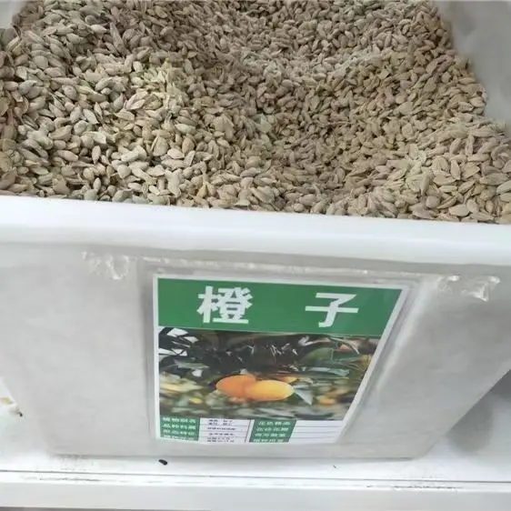 Orange seeds
