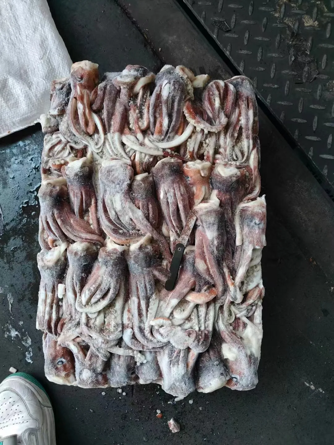 Raw Meat New Processing Calamari Tentacles Material Argentina Frozen Illex Squid Head