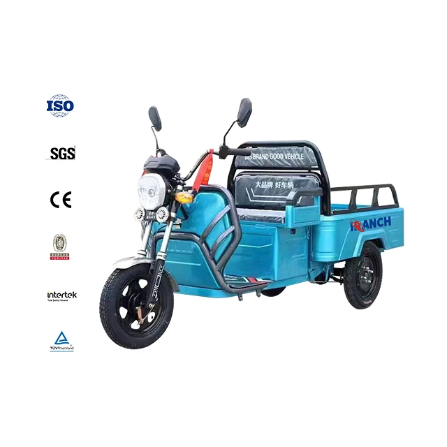 35-85km Endurance High Quality Material Basket Brushless 3wheel Electric Tricycle Adult
