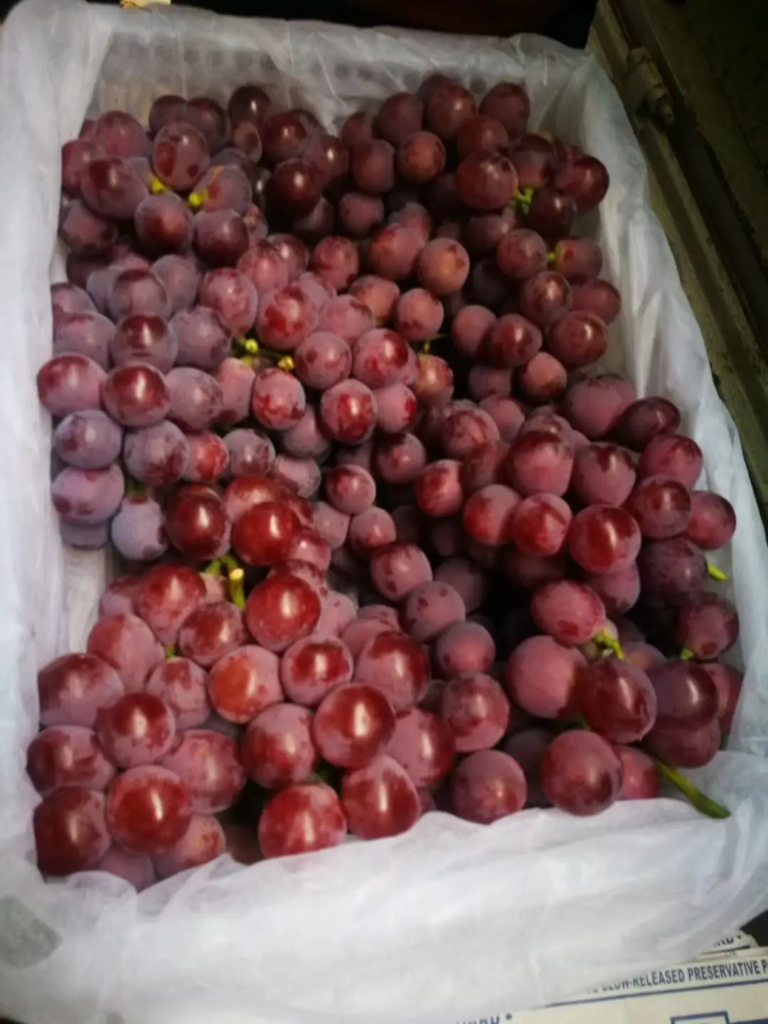 fresh fruits crimson fresh grapes sweet seedless grape for sale red grapes