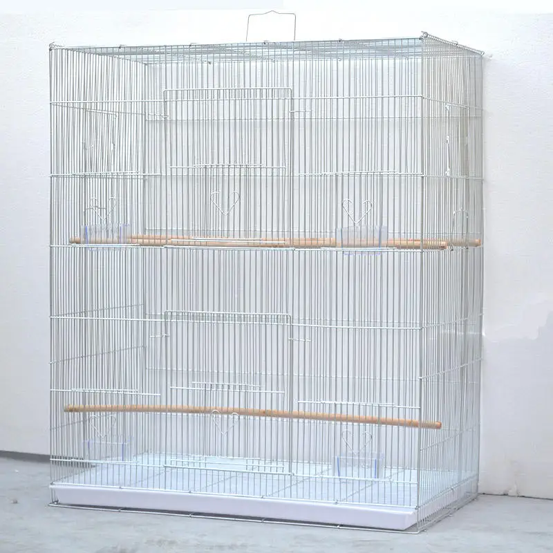 White indoor household pigeons macaw quail budgie ornamental pet small breeding bird cage