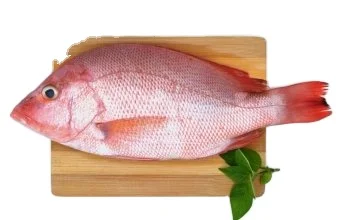 Best Taste Sweet Water Seafood Frozen Red Meat Tilapia Fish Fillet In Plastic Bag Export From Vietnam By WIT