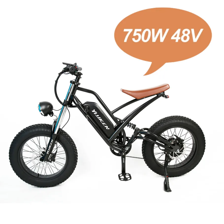 1000W 48V 10AH 15AH 20AH 25AH 30AH Lithium Battery Aluminum Alloy 7 Speed Adult E eBike 20 inch Fat Tire Electric Mountain Bike