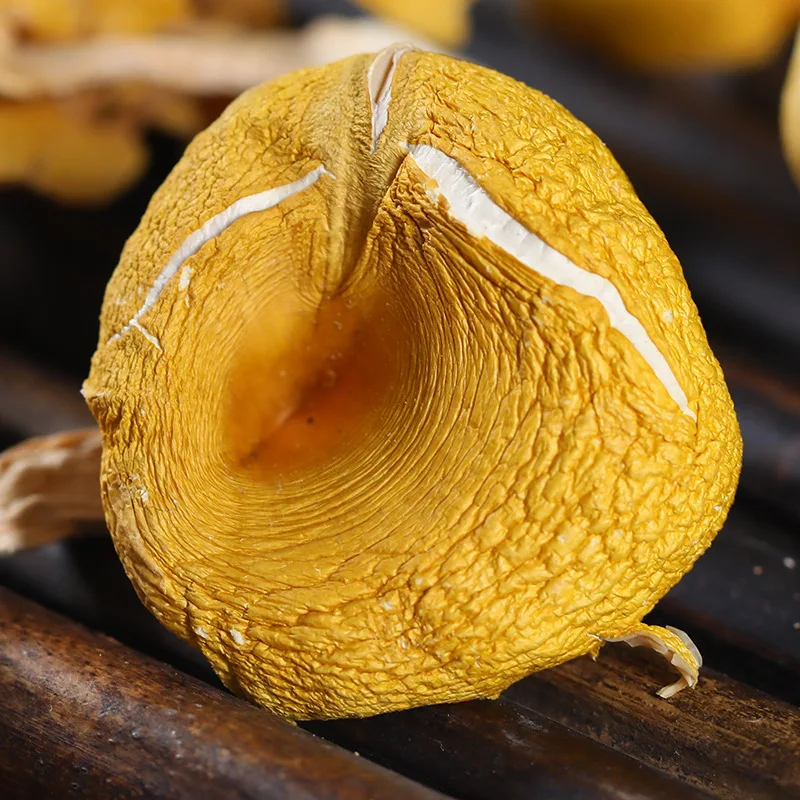 Wholesale Chanterelle Mushroom Dried Chanterelle Mushroom
