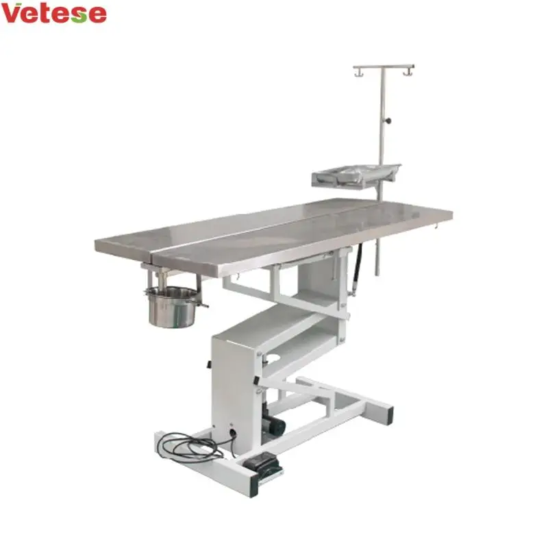 Medical Veterinary Surgical Equipment Animal Dissecting Table Stainless Steel Simple