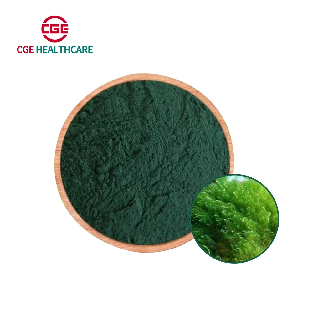 Spirulina Powder Wholesale Private Label Food Grade 100% Pure Extract Organic Green health supplement