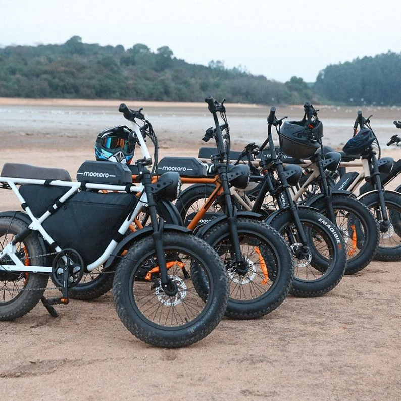 Motorcycle Electric Moped