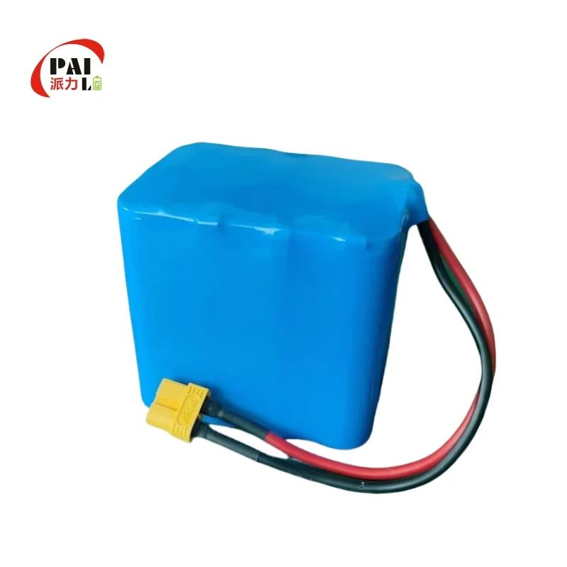 Lithium-ion Battery Pack 18650 6s2p NCM for Golf Carts Power Tools Toys Smart 21.6V 6.4AH PL Rc Toys Car Vaz 3s Lipo 5000 Toys