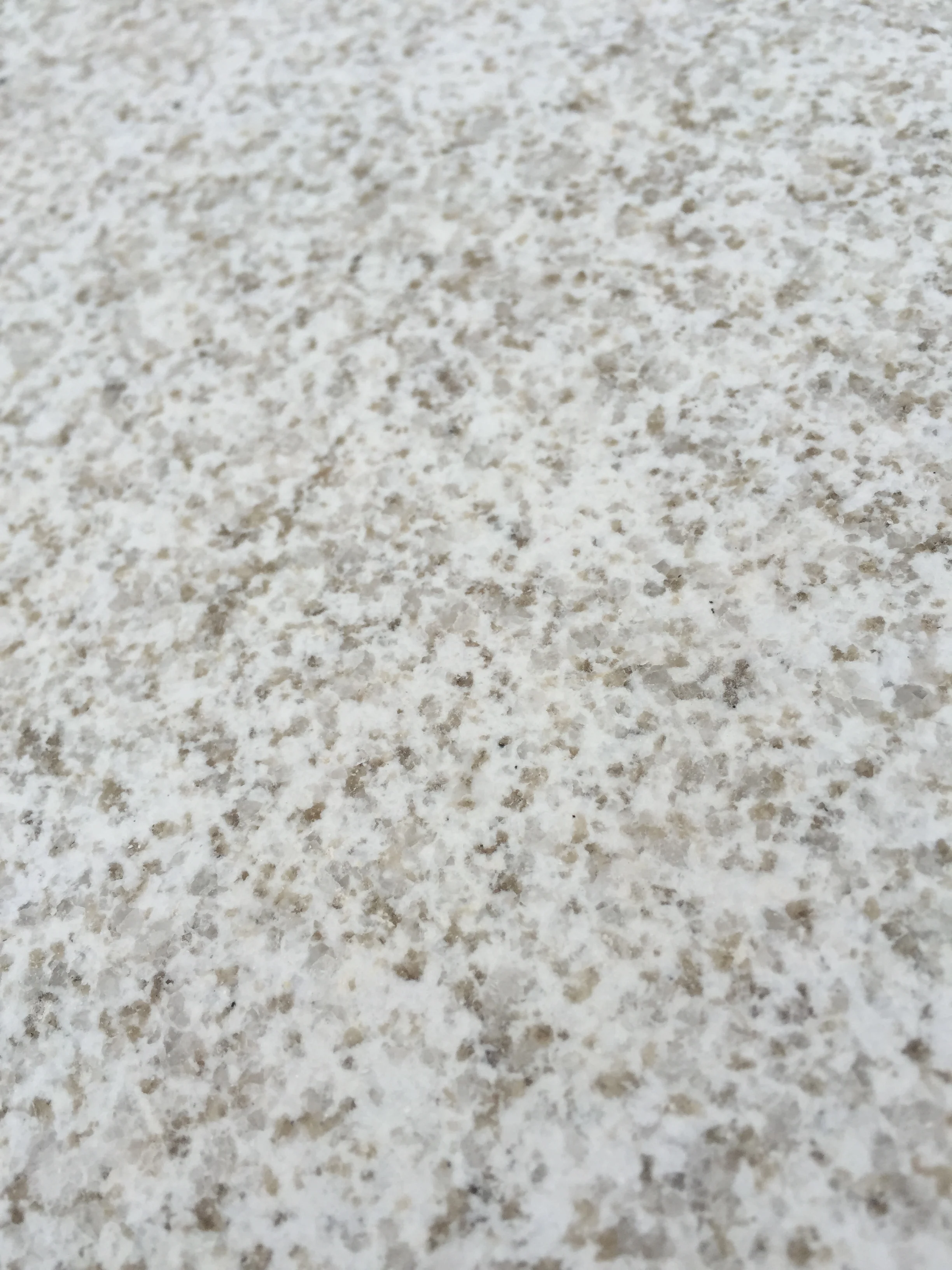Cheap Pure Chinese Pearl White  Granite Slabs for Floor Paving with High Quality