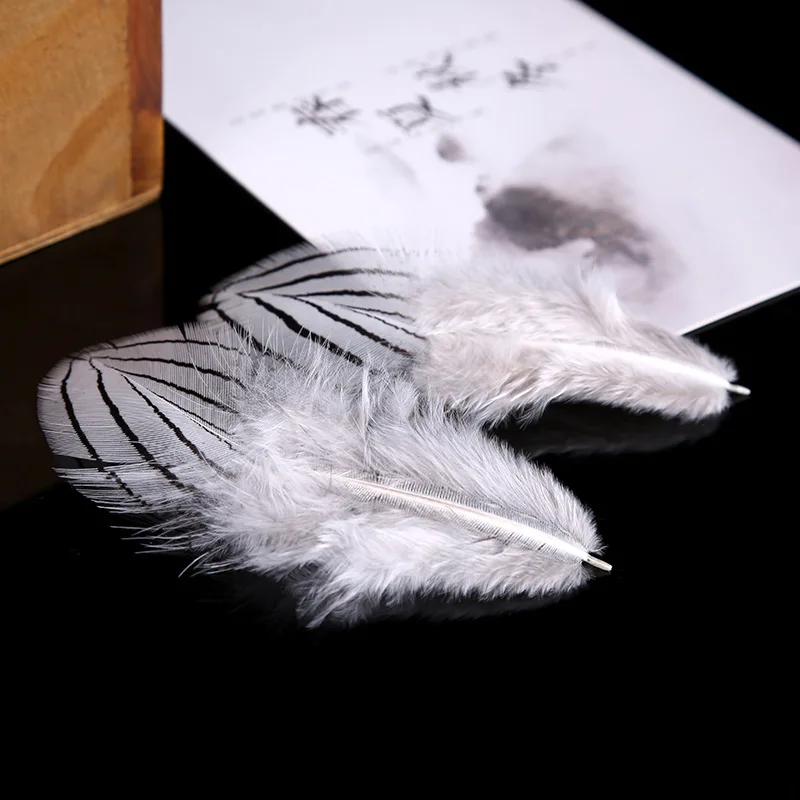 Natural Pheasant Chicken Feather 4-8CM/50 Piece Jewelry Accessories Feather Cat Stick Accessories