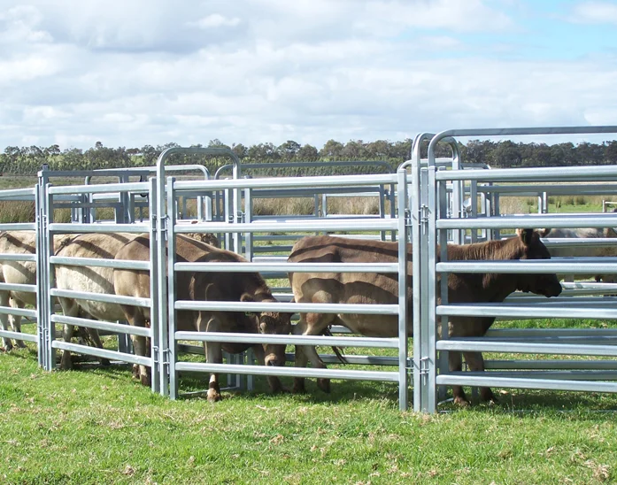 Metal Fence Cattle Farm Livestock Panel