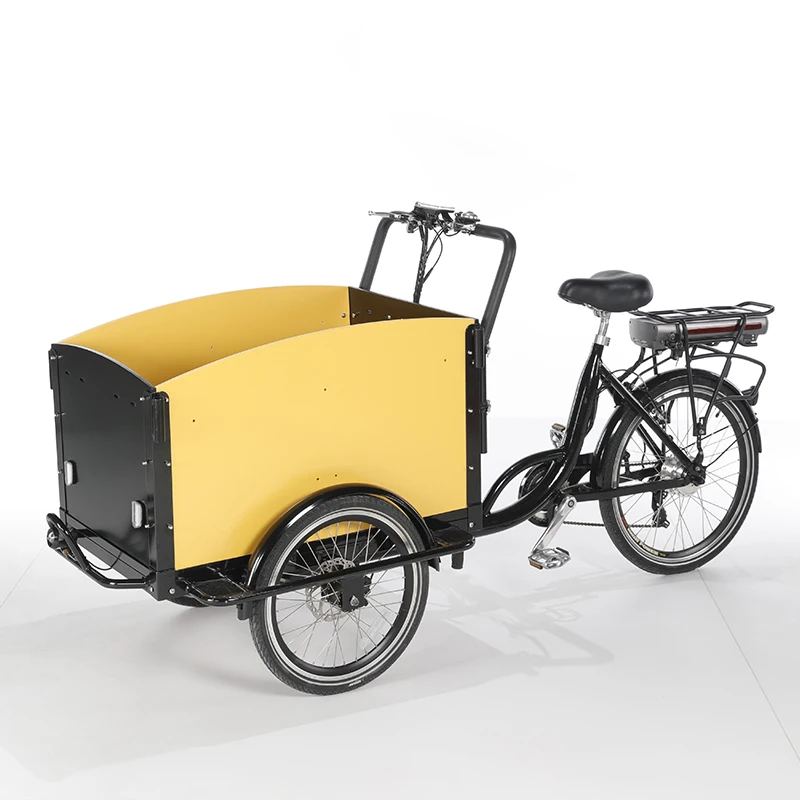 250W motor Electric Cargo Bike Dog Care Cargo Bike 3 Wheel Family Adult Bicycle Tricycle with front loading box