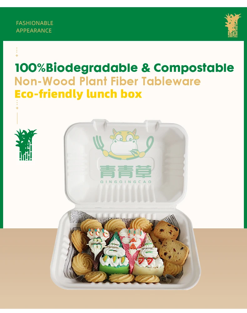 Wholesale Sugarcane Bagasse biodegradable  Takeaway Food Container