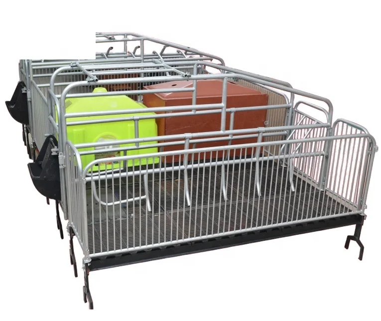 Easy Cleaning Pig Gestation Crate Farm Equipment Farrowing Pen With New Design