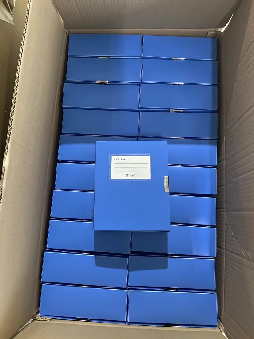 Wholesale Office Supplies Plastic File Folder File Folder A4 File Folder for Document