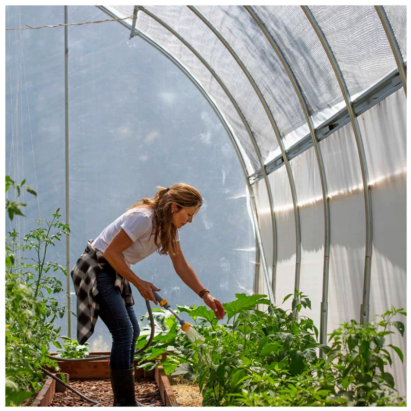 Large Size Low Cost High Tunnel Agricultural Greenhouse for tomato growing vegetable green farm house