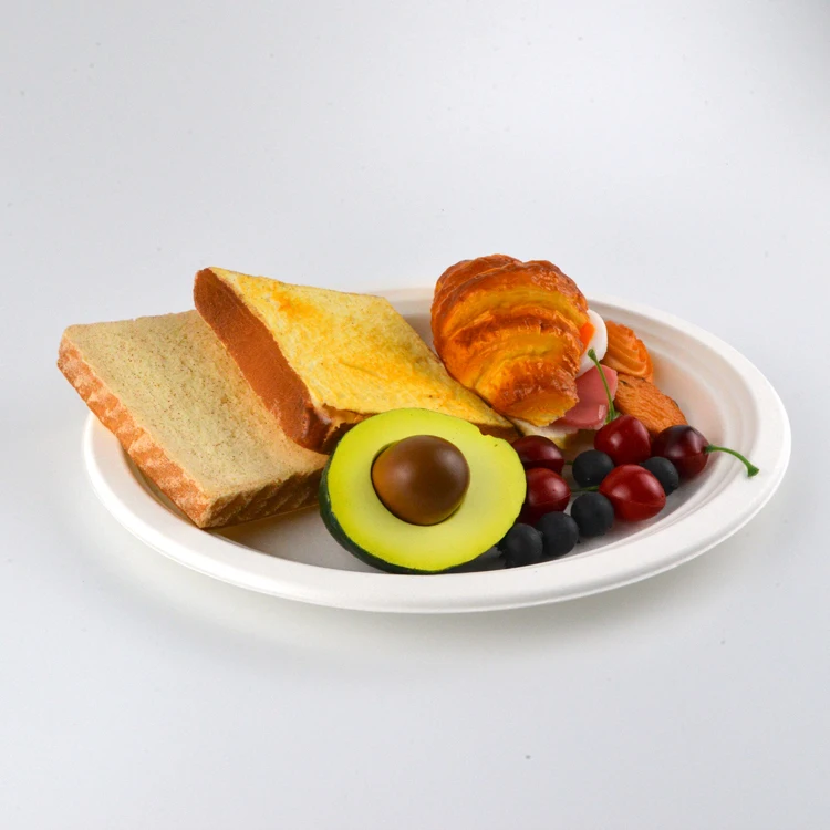 Food Grade Biodegradable Disposable Tableware Products Sugarcane Bagasse Plates