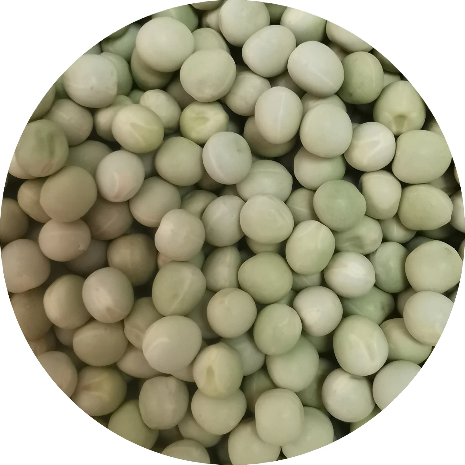 Dried Green Pea Peeled Green Peas Human Food Grade High Quality And Purity Raw green Peas
