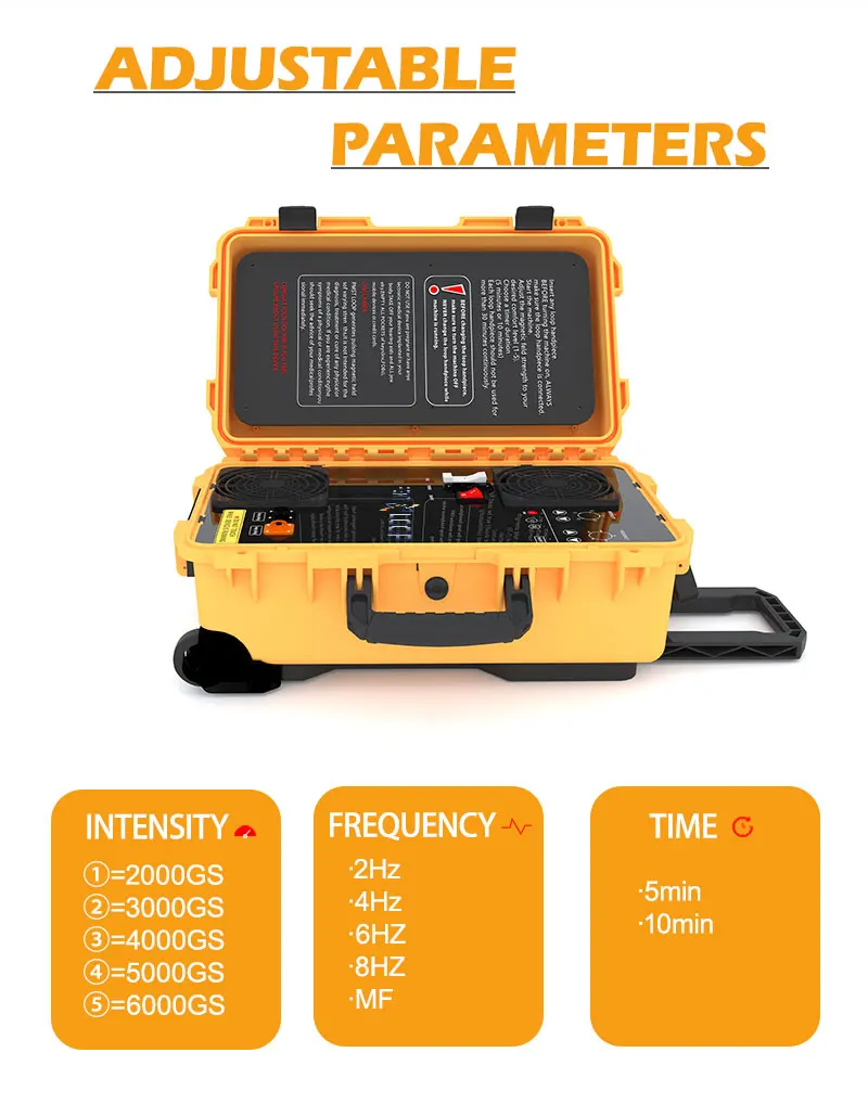 Physical Treatments pemt LOOP Improve Horses Lameness And Colic Magneto Therapy Make Horses Stay in Health