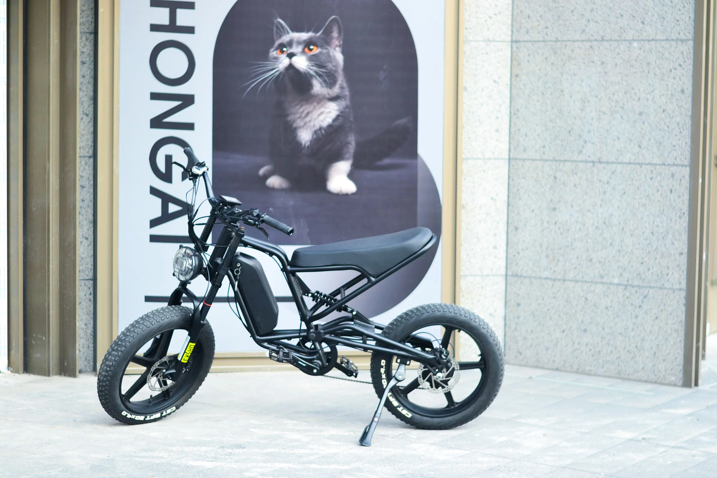 2024 New 48V 750W 21Ah Electric Bike/Motorcycle 25 kmh Speed 7-Speed Electronic Throttle Velocipede Pedal Sensor Fast Delivery