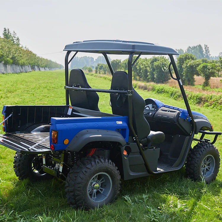 With Favorable Price UTV Electric 2wd Cheap Electric UTV for Outdoors
